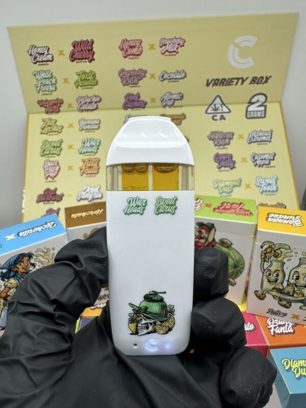 choices labs dual flavor disposable