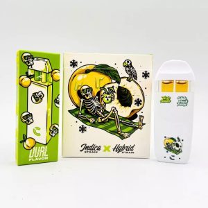 choices labs disposable