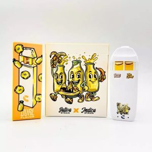 choices lab v3 disposable 2g