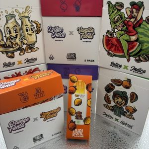 v3 choices lab disposable